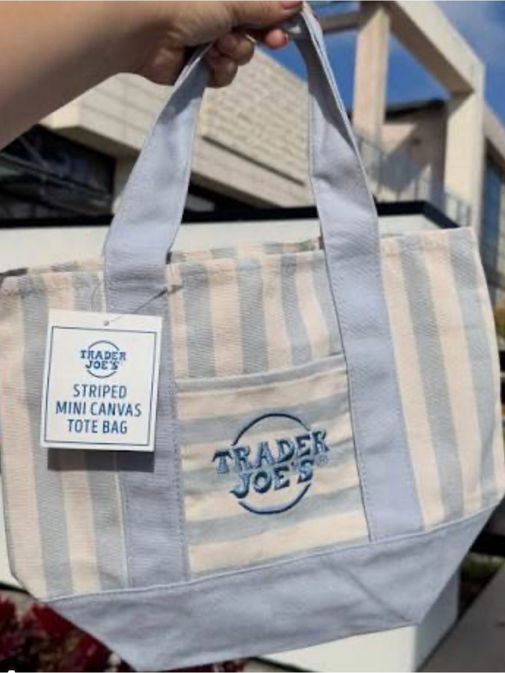 Trader Joe's Blue Stripe Canvas Mini Tote